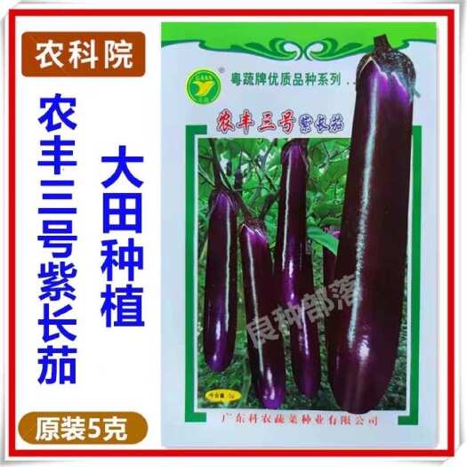 农丰三号紫长茄种子5克广东省农科院粤蔬牌杂交紫红长茄种