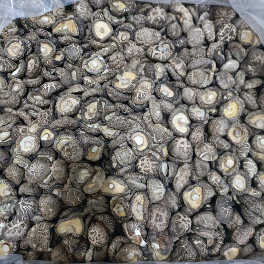福建古田精选3-4规格花菇人工挑选产地厚菇农家新鲜干花菇土特