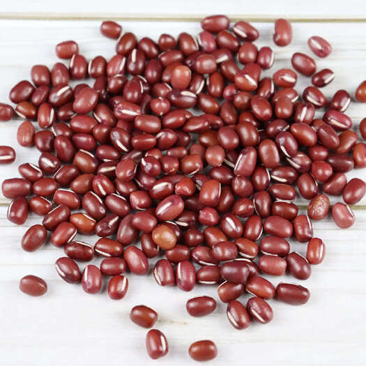 红小豆大粒机选红豆农家大粒红小豆批发成品新红小豆