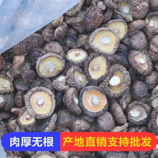 临泉县香菇片 剪脚大片香菇，中片，小片，次菇B菇，碎片产地供