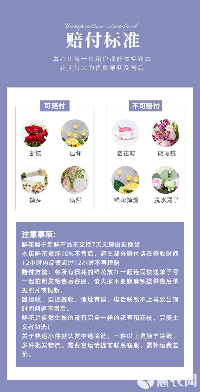 小雏菊鲜切花 真花家居婚庆装饰社区团购花店云南鲜花基地批发