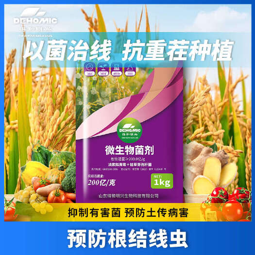 潍坊枯草芽孢杆菌淡紫拟青霉生根促根减少根部病害微生物菌剂生物肥料