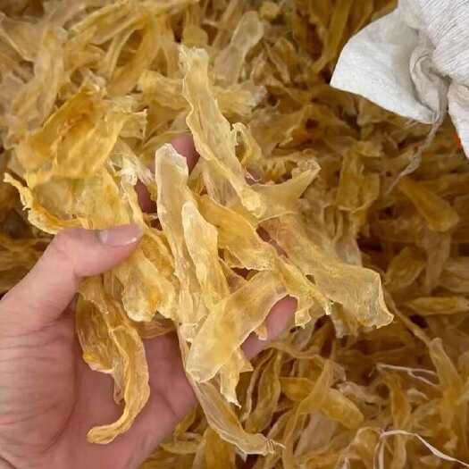 广州纯野生海鱼鱼胶 300头佐罗条鱼胶花胶滋补干货批发