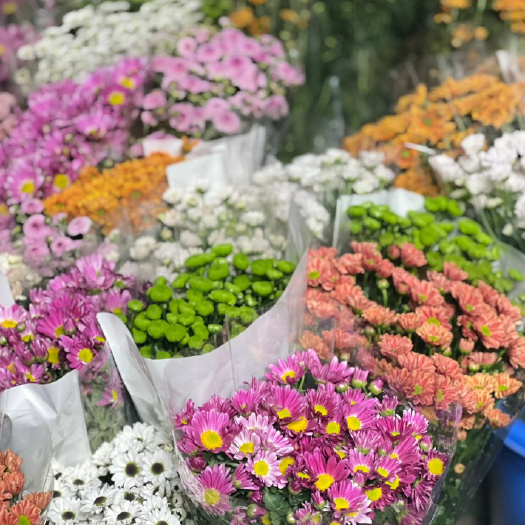 长沙小雏菊鲜切花 真花家居婚庆装饰社区团购花店云南鲜花基地批发