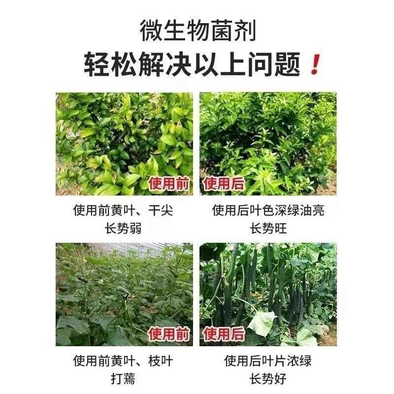 微生物菌肥枯草芽孢杆菌哈茨木霉菌真菌细菌病防霜霉立枯青枯农业