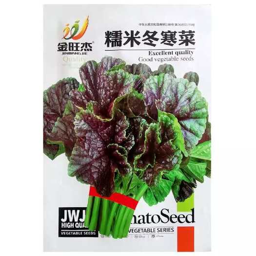 冬寒菜种籽冬苋菜种子糯米冬寒菜高钙菜四川秋冬季盆栽田园蔬菜