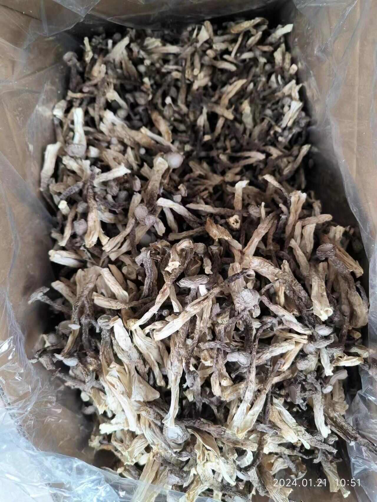 鹿茸菇干貨批發(fā)鹿茸菌新貨無硫食用菌煲湯火鍋食材干度好古田菌菇