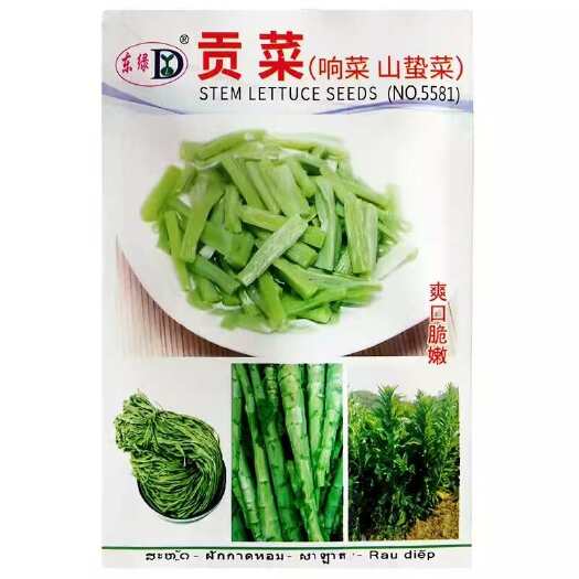长沙宫廷贡菜种子四季耐高温抗寒苔干菜种籽响菜山蛰菜特色蔬菜种孑