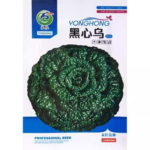 长沙黑心乌菜籽黑塌菜耐寒秋冬蔬菜种孑黑叶白菜种子农家庭院蔬菜种籽