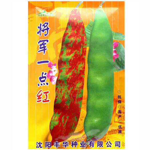 寿光市奥霸油豆王种子 油豆 高产压趴架油豆角100克油豆角露地种植