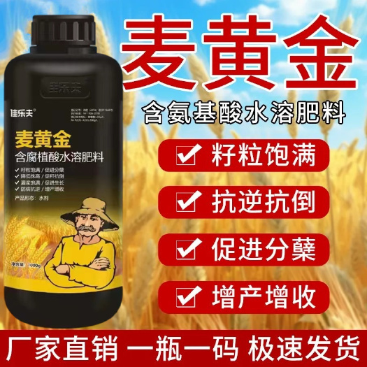 长沙麦黄金小麦增产叶面肥分蘖灌浆肥生根壮苗抗倒穗大粒饱小麦高产肥