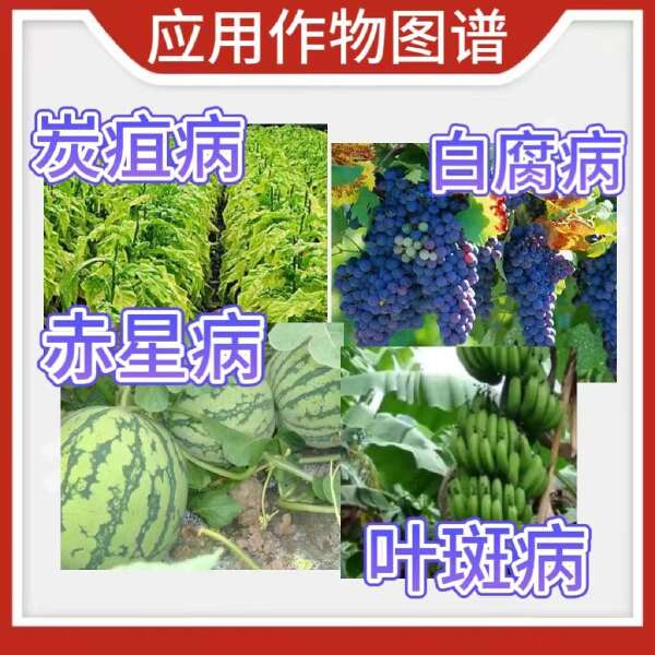 上格之路显粹100克30%苯醚甲环唑