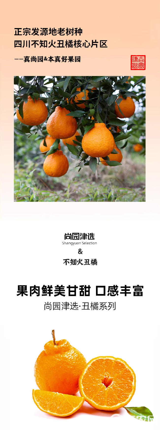 【年货礼盒】四川不知火丑橘6斤应当季水果新鲜桔子耙耙整箱包邮