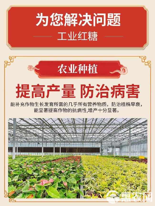 红糖养殖用畜牧50斤农业种植em菌发酵商用肥料水产养殖工