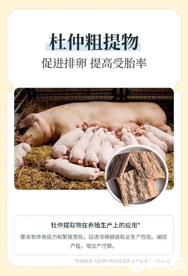 雌诱素母猪促排卵发情母畜多产仔母猪不发情配种专用促情诱情宝