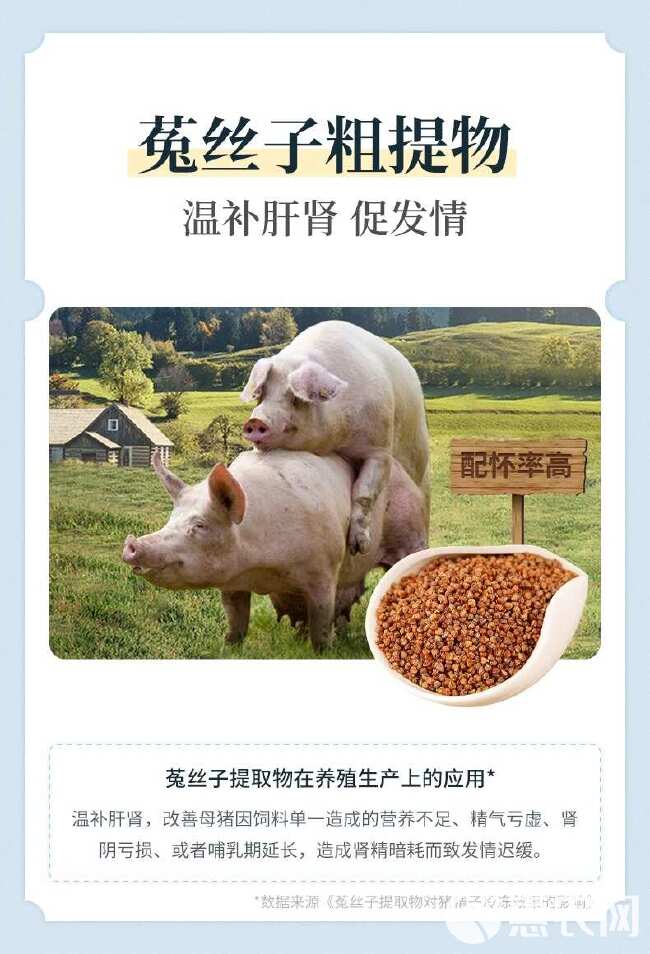 雌诱素母猪促排卵发情母畜多产仔母猪不发情配种专用促情诱情宝