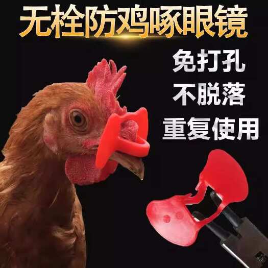 长沙鸡用眼镜无栓夹式鸡眼镜防啄打架无栓新型不穿鼻孔小鸡中号鸡眼罩