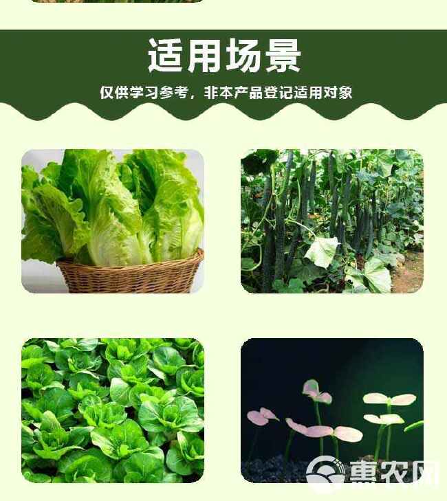 浓缩海藻精肥料蔬菜果树叶面肥通用型钙镁中微量元素水溶肥