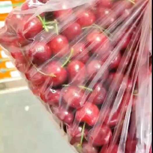 嘉兴总有一款适合你十斤装两百多块钱还是双J品质同样包来回[666