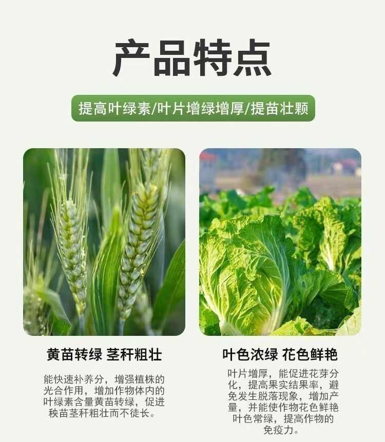 叶绿素正品肥料农用家用壮棵提苗专用增绿叶绿素叶面肥室内