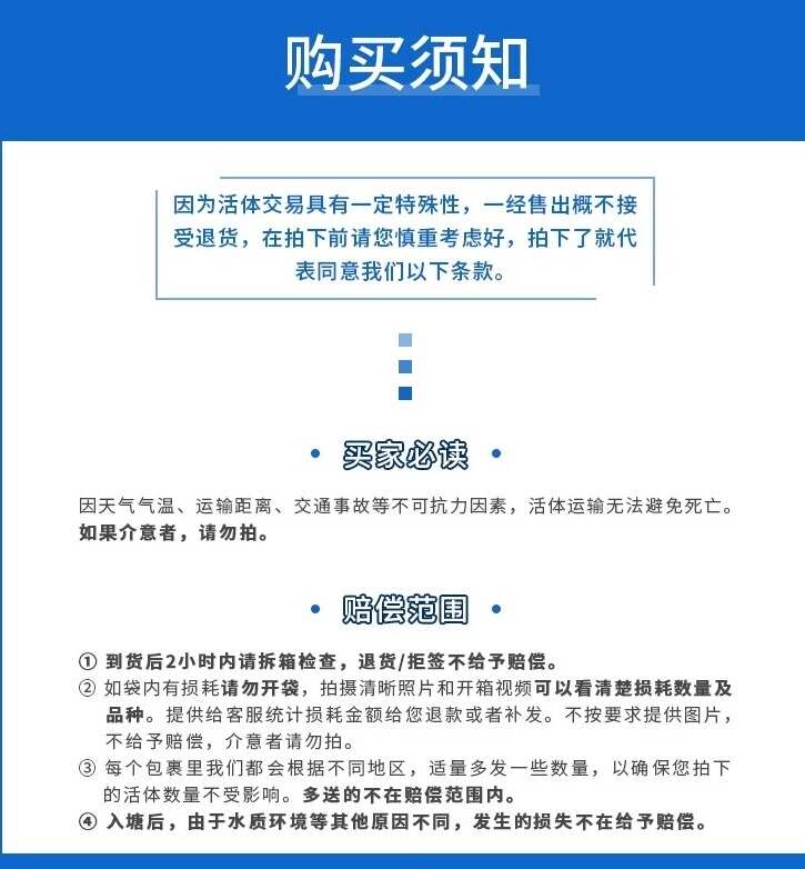 2024廣東鰻魚苗 白鰻花嫚歐洲鰻河鰻 鰻鱺魚苗批發(fā)零售魚塘