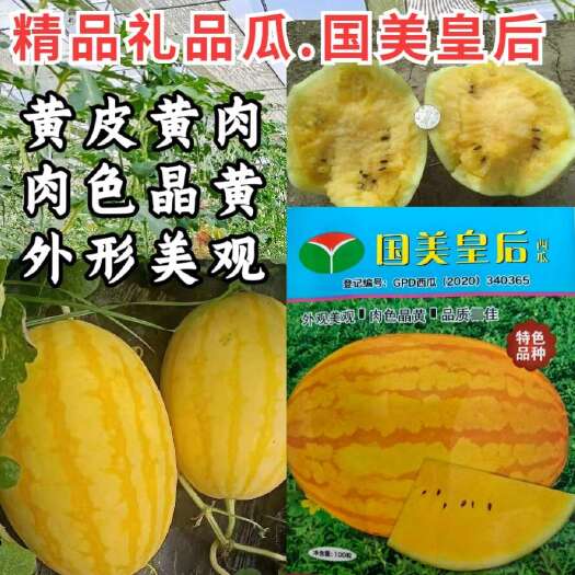 洛阳黄皮黄瓤西瓜种子，黄皮黄肉，肉色晶黄，外形美观，精品礼品瓜