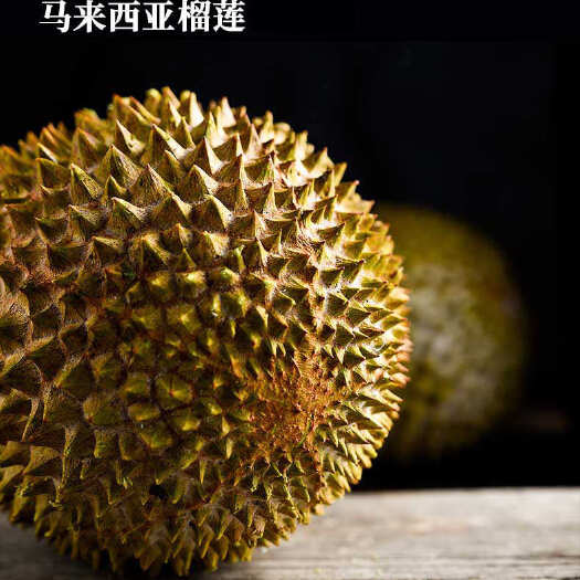 广州马来西亚猫山王D197榴莲