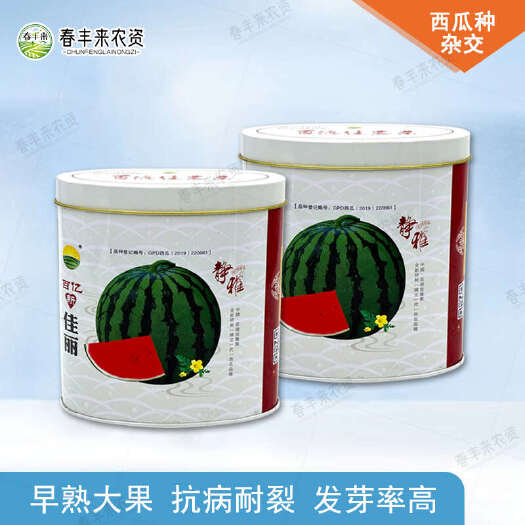 百亿新佳丽杂交西瓜种子早熟花皮大果 抗病耐裂 60g