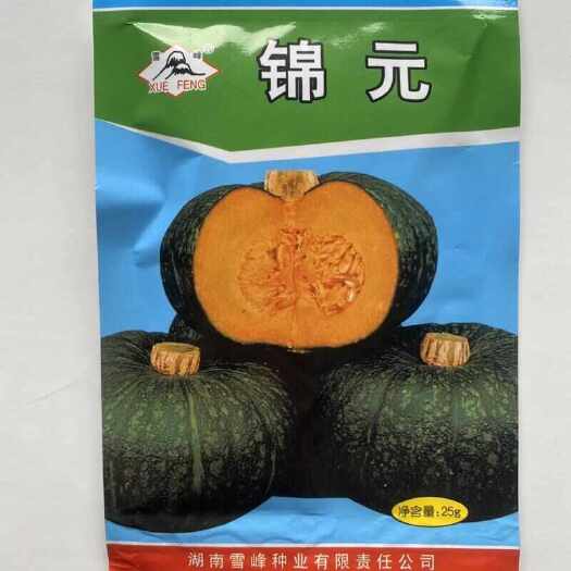 锦元南瓜种子，果实扁圆，果肉浓黄，味甜质粉，抗病，基地种植