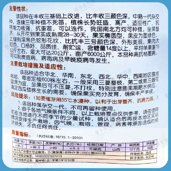 懒汉芯红沙甜一代杂交高抗重茬可连作高糖单果重15公斤