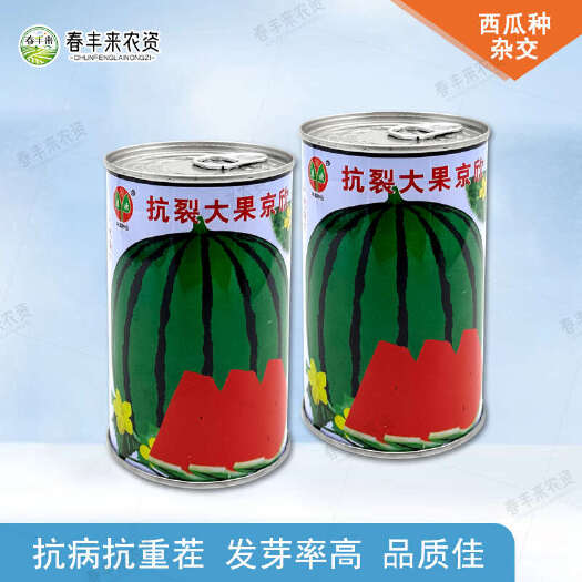 临沂冀欢抗裂大果京欣冰糖麒麟西瓜种子抗病耐重茬70g