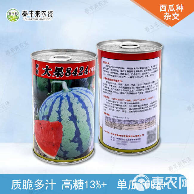 新疆8424早熟品种冰糖麒麟西瓜种子高产薄皮50g