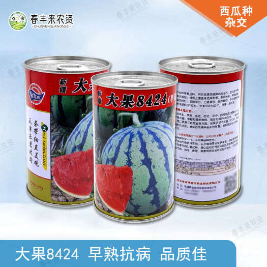 新疆8424早熟品种冰糖麒麟西瓜种子高产薄皮50g