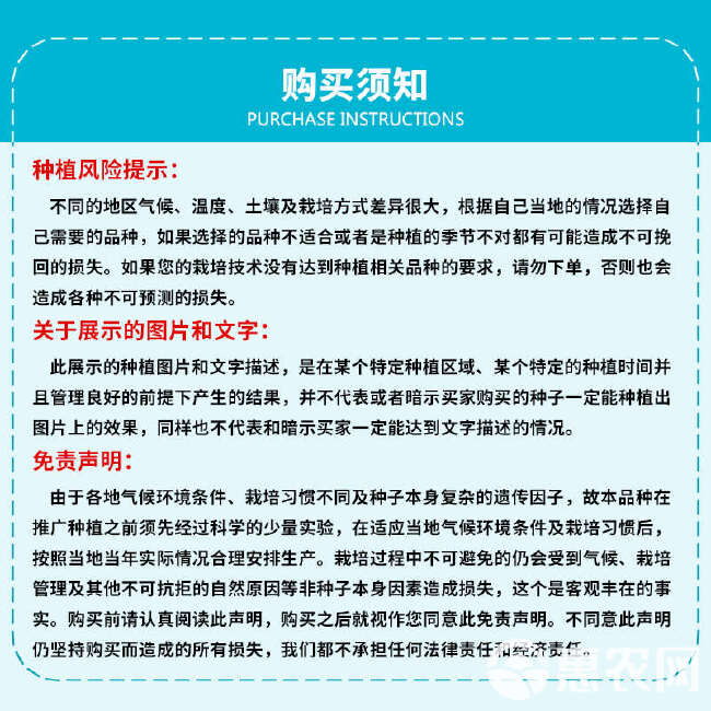 翠绿黄瓜种子肉质甜脆刺少瓜直强雌性高端有机水果小黄瓜种子