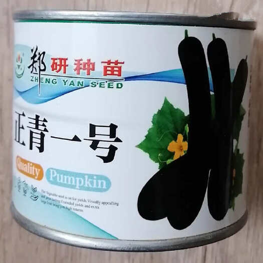 黑皮长南瓜种子，瓜条黑绿，菜用南瓜品种，早熟抗病，基地专用