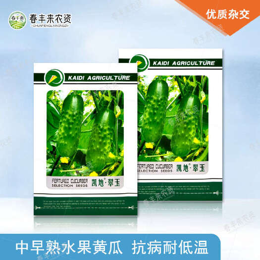 临沂凯地翠玉水果黄瓜种子长势强耐低温中早熟春秋种植10g
