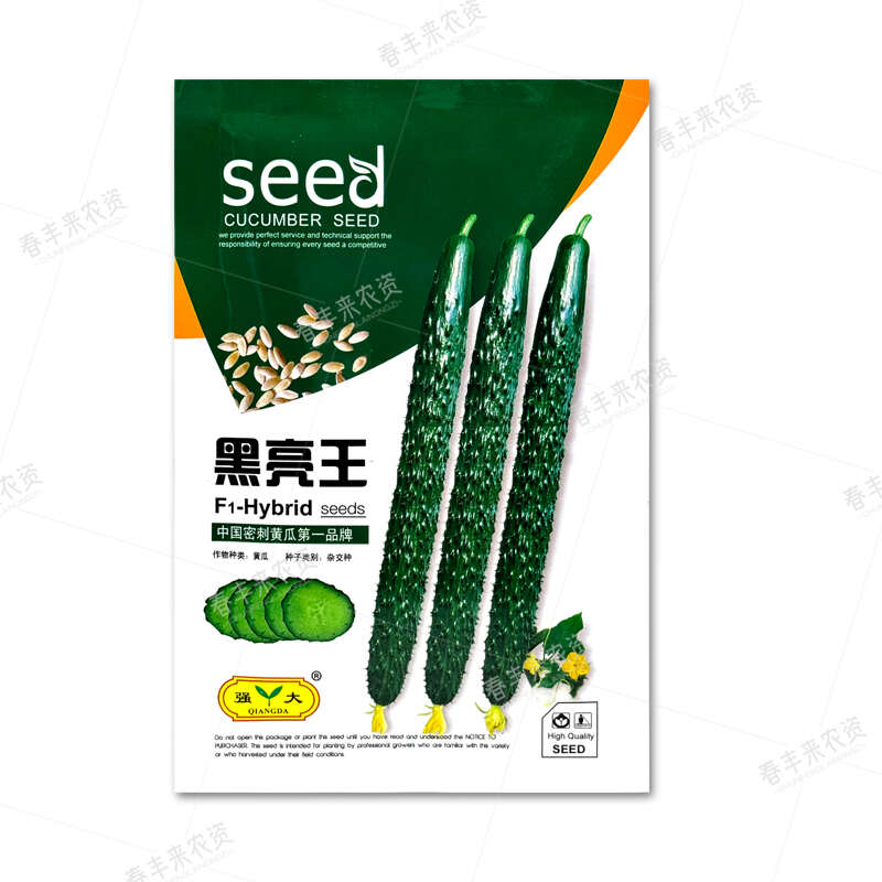 强大黑亮王油亮型黄瓜种子腔小 密刺 抗病 大田露天 高产黄瓜