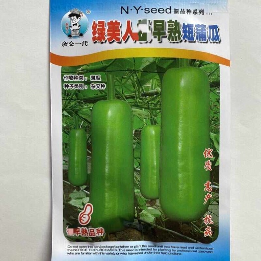 绿美早熟短蒲瓜种子，瓠瓜种子，结果多，鲜甜可口，抗病，基地用