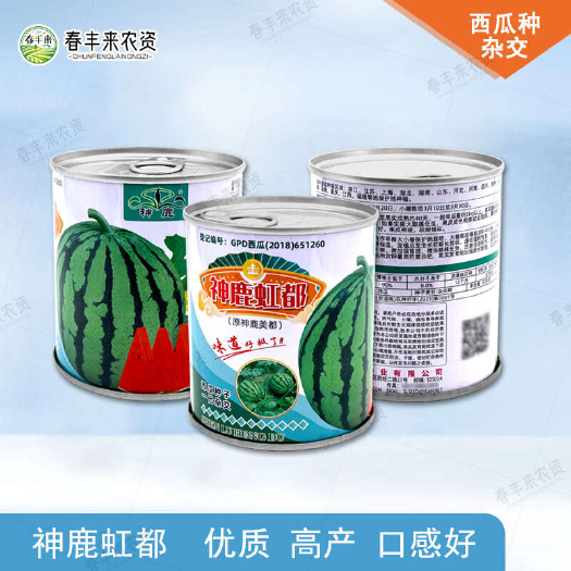 神鹿虹都西瓜种子（原神鹿美都）中熟品种香甜糖度高耐运输