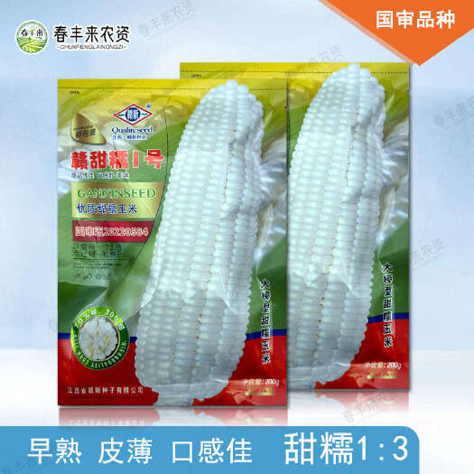 赣新赣甜糯1号甜糯玉米种子早熟糯中带甜籽粒白色200g