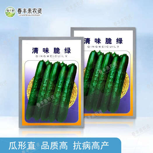 临沂翠绿黄瓜种子肉质甜脆刺少瓜直强雌性高端有机水果小黄瓜种子