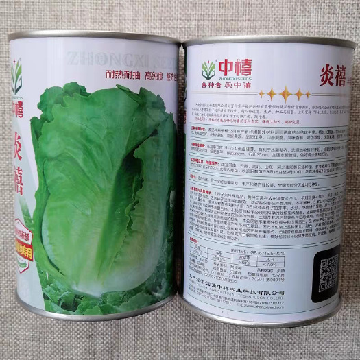 洛阳炎禧生菜种子，意大利耐抽苔四季生菜，耐热，高纯度，整齐度好