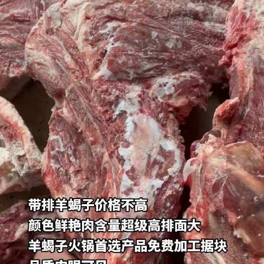 河间市带排羊蝎子价格不高颜色鲜艳肉含量超级高排面大羊蝎子火锅首