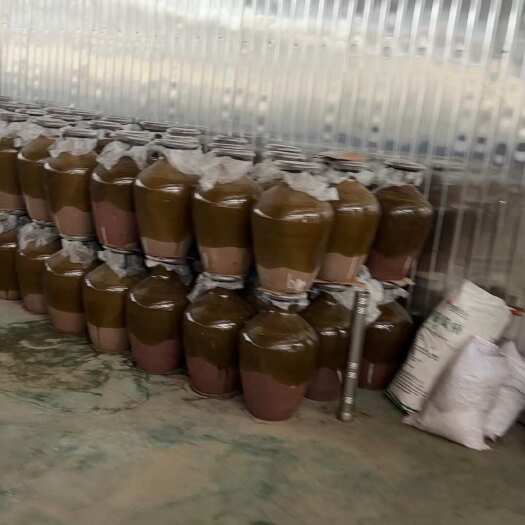 弥勒市50度53度纯粮食高粱酒玉米酒