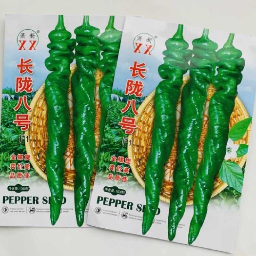 杭州长陇八号螺丝椒种子，全螺旋，果肩褶皱，辣味香浓，早熟抗病