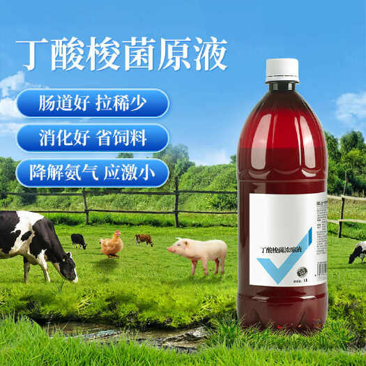 长沙泻火汤牛羊健胃促进反刍四胃动力丁酸梭菌原液调节肠道益生菌诱食