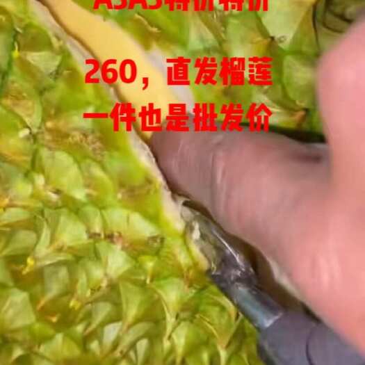 东兴市榴莲金枕榴莲报恩榴莲金枕榴莲