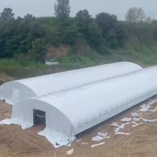 怀远县专业设计安装养殖大棚