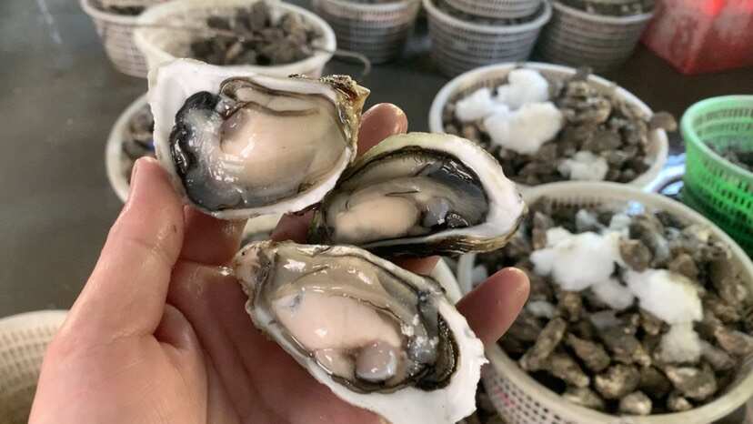 饶平县一元生蚝烧烤蚝地摊生蚝潮州蚝