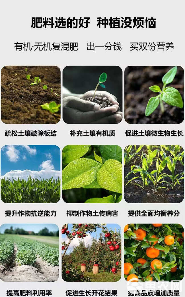 豆粕海藻生物菌肥